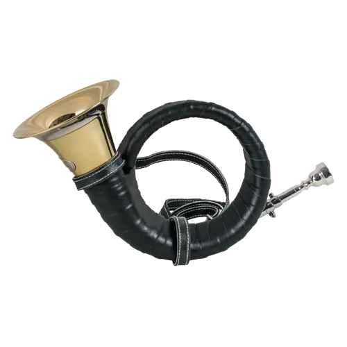 Fürst-Plesshorn - Habee