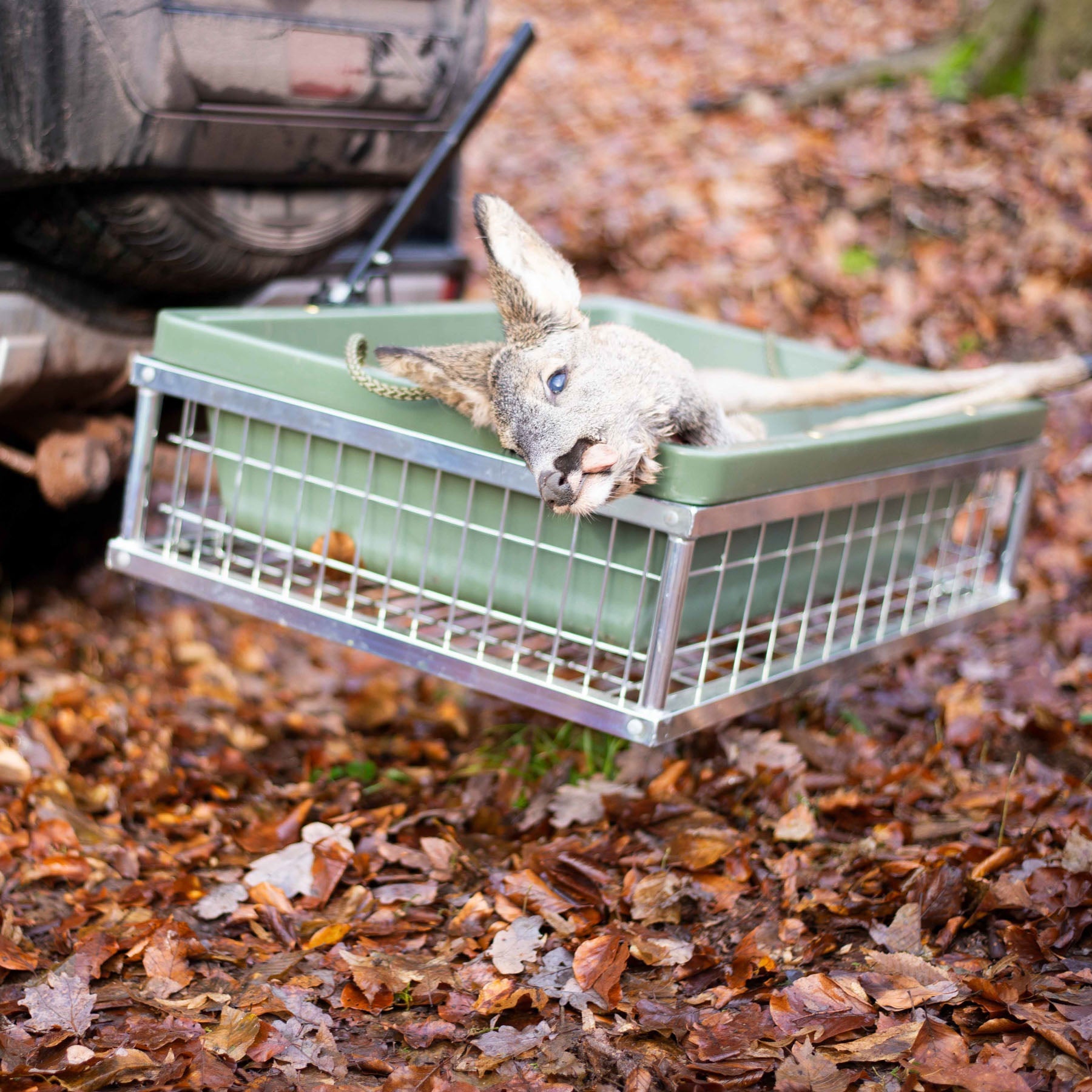 Heckträger Mit Abklappbarer Schnellkupplung Eurohunt