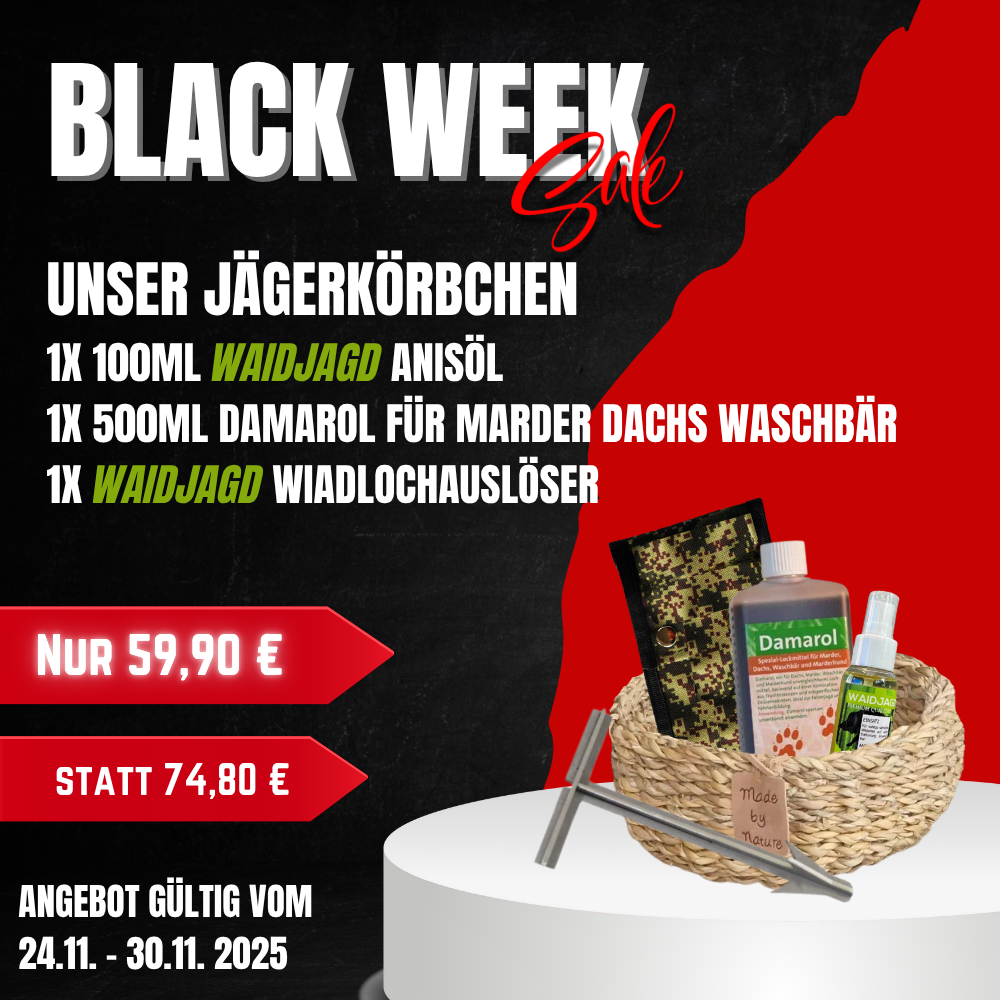 Dekokörbchen Seeggras 1 Stück Ø 20cm 100% Naturprodukt