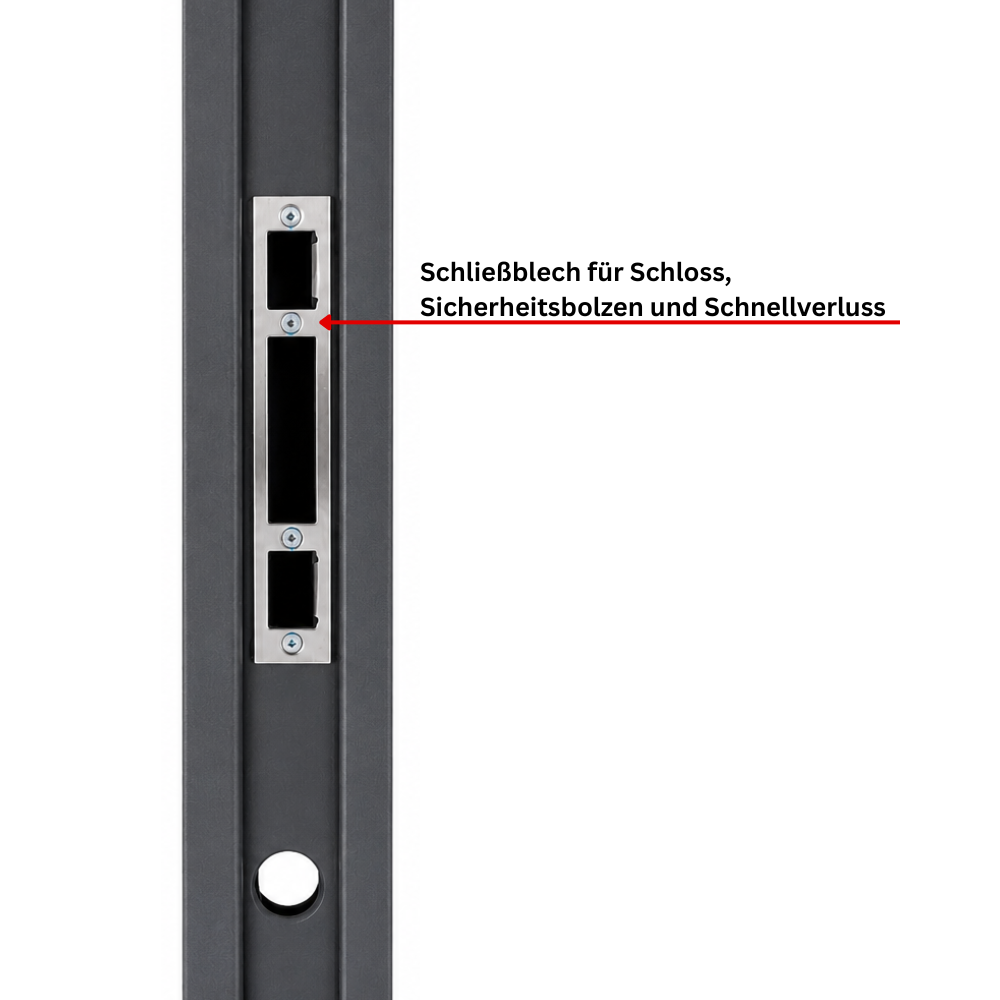 Sicherheitstür Haus- und Wohnungstür mit 13 Schließbolzen Anthrazit AH001