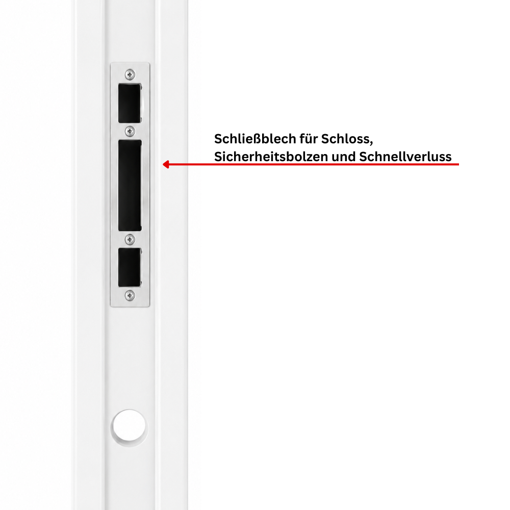 Sicherheitstür Haus- und Wohnungstür mit 13 Schließbolzen Weiß AH001